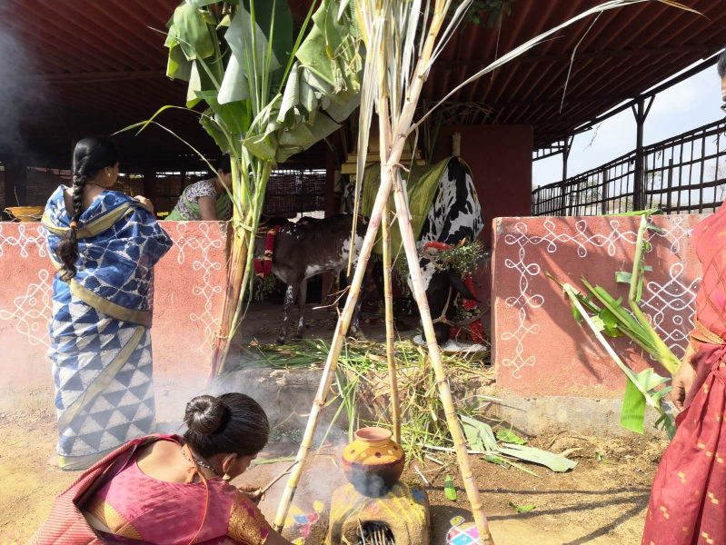 File:WhatsApp Image 2022-01-15 at 12.58.21.jpeg