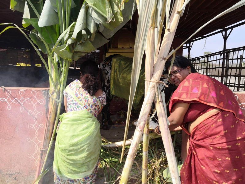 File:WhatsApp Image 2022-01-15 at 12.58.22.jpeg