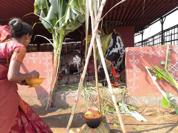 WhatsApp Image 2022-01-15 at 12.58.23.jpeg