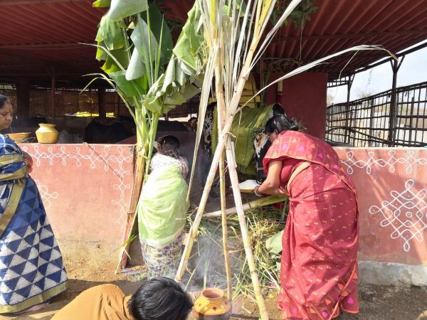 WhatsApp Image 2022-01-15 at 12.58.24.jpeg