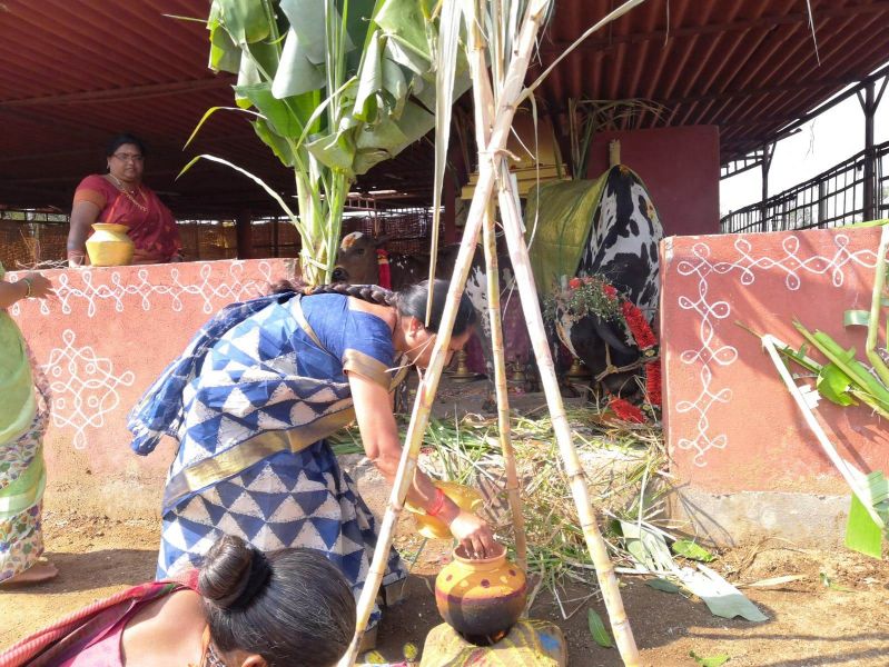 File:WhatsApp Image 2022-01-15 at 12.58.27.jpeg