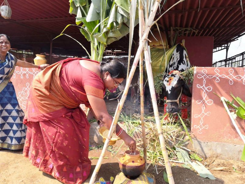 File:WhatsApp Image 2022-01-15 at 12.58.34.jpeg