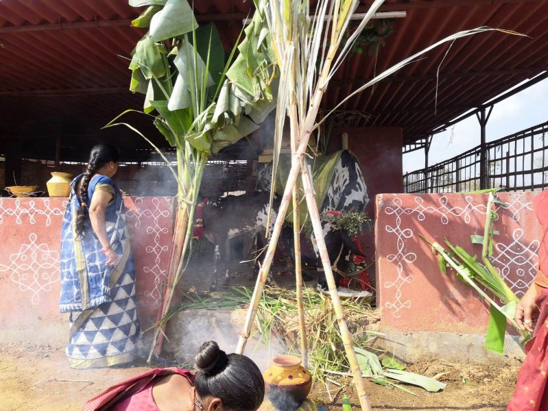 File:WhatsApp Image 2022-01-15 at 12.58.35 (1).jpeg