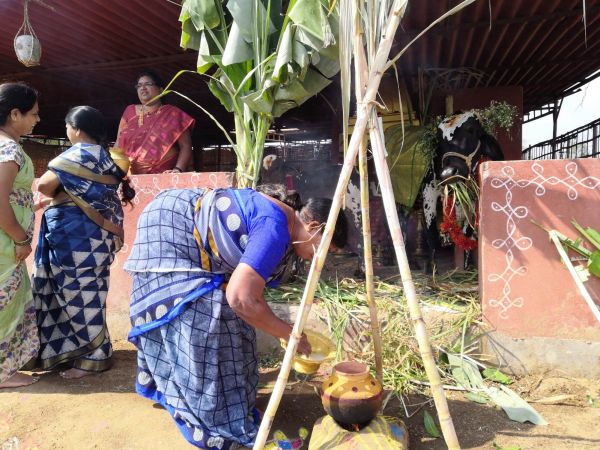 WhatsApp Image 2022-01-15 at 12.58.36.jpeg