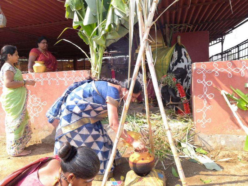 File:WhatsApp Image 2022-01-15 at 12.58.37 (1).jpeg