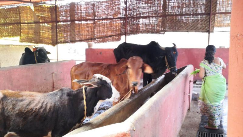 File:WhatsApp Image 2022-01-15 at 13.03.00 (2).jpeg