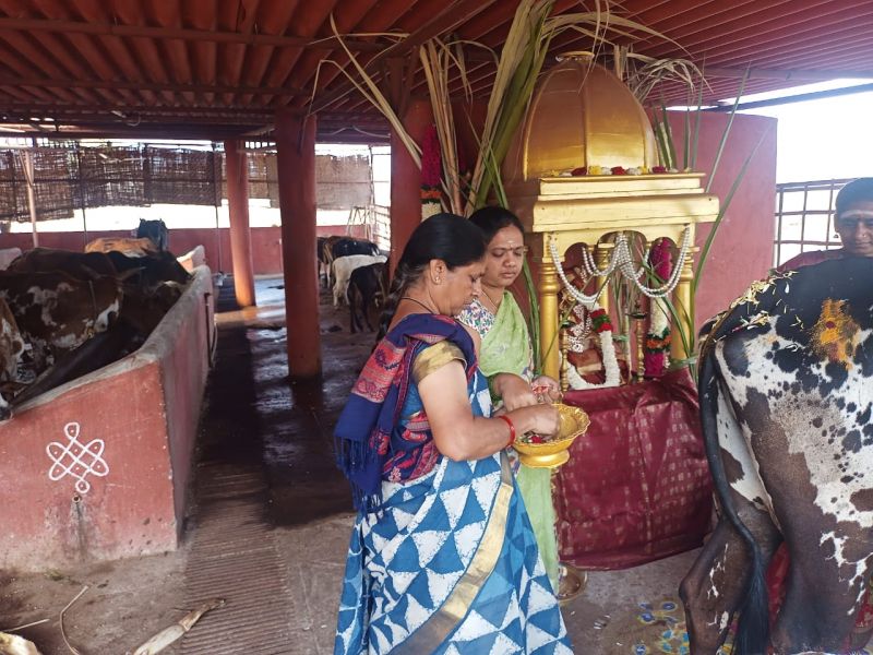 File:WhatsApp Image 2022-01-15 at 21.05.17.jpeg