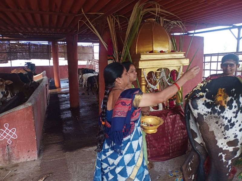 File:WhatsApp Image 2022-01-15 at 21.05.17 (1).jpeg