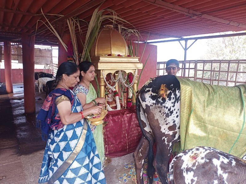 File:WhatsApp Image 2022-01-15 at 21.05.19.jpeg