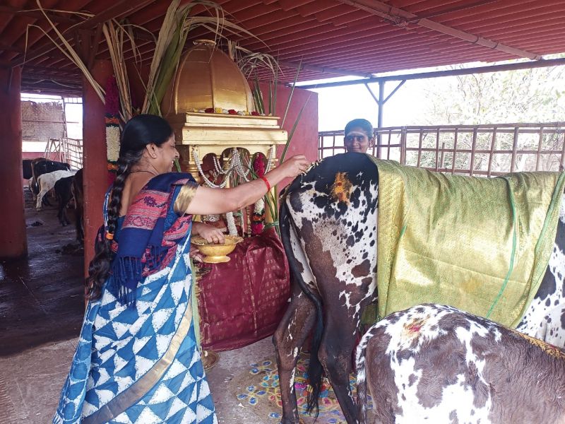 File:WhatsApp Image 2022-01-15 at 21.05.20.jpeg