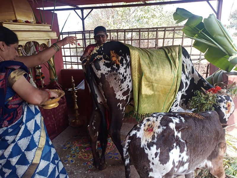 File:WhatsApp Image 2022-01-15 at 21.07.22.jpeg