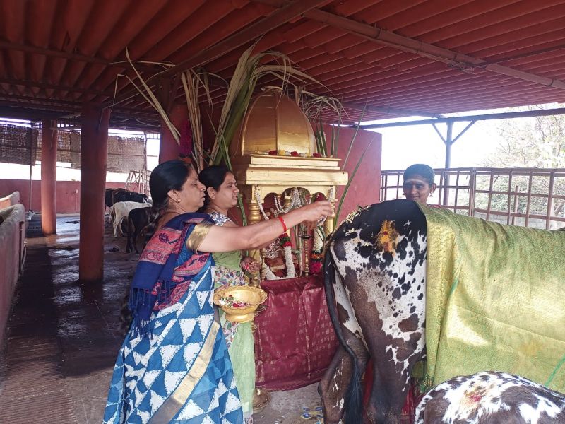 File:WhatsApp Image 2022-01-15 at 21.07.23.jpeg