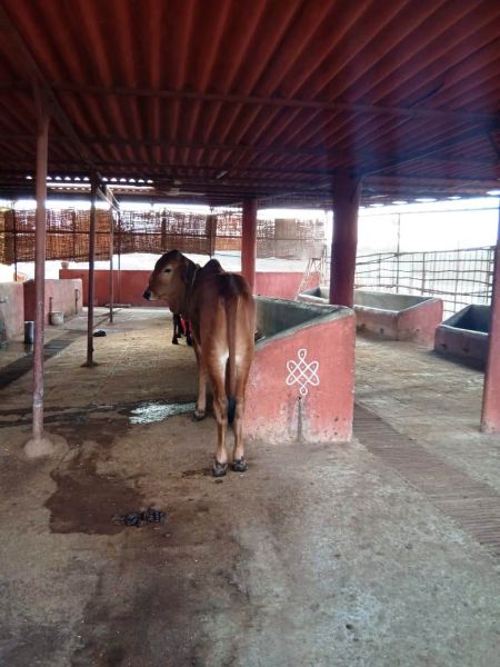 File:WhatsApp Image 2022-01-17 at 15.47.25 (1).jpeg