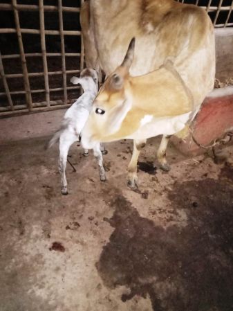 WhatsApp Image 2022-01-17 at 19.03.40.jpeg