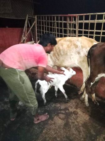 WhatsApp Image 2022-01-17 at 19.03.41.jpeg