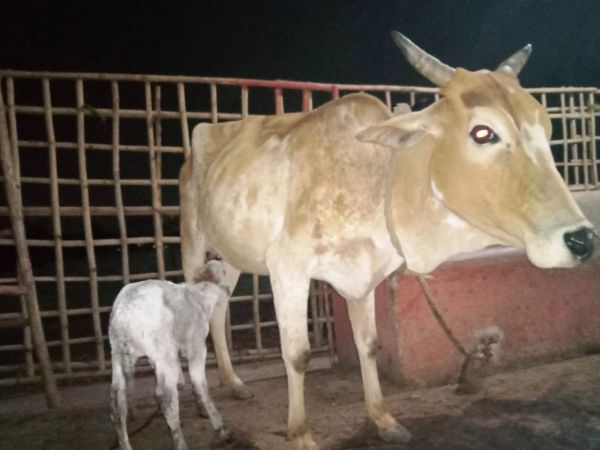 WhatsApp Image 2022-01-17 at 19.03.44.jpeg