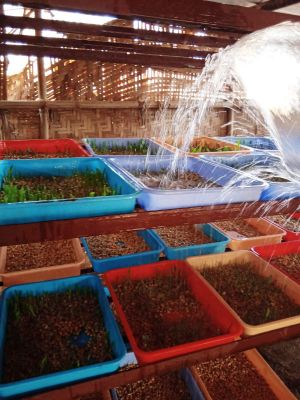 WhatsApp Image 2022-01-18 at 08.42.37 (2).jpeg