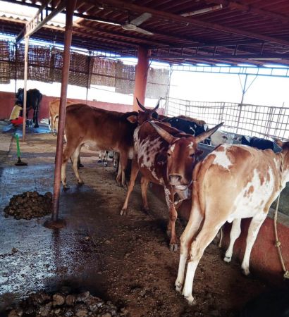 WhatsApp Image 2022-01-18 at 08.42.38.jpeg