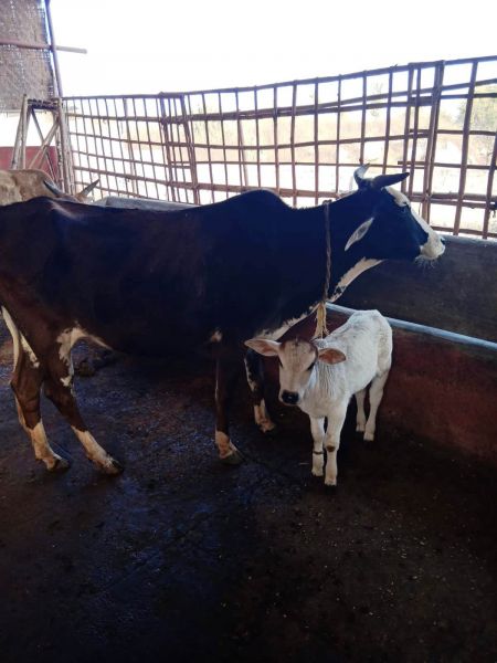 File:WhatsApp Image 2022-01-18 at 08.43.32 (2).jpeg