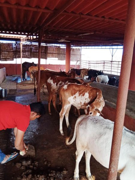 File:WhatsApp Image 2022-01-18 at 08.43.33.jpeg