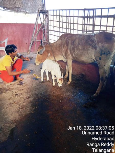 File:WhatsApp Image 2022-01-18 at 08.43.34 (2).jpeg