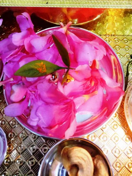 File:WhatsApp Image 2022-01-18 at 09.45.07 (2).jpeg