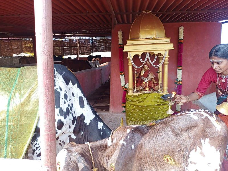 File:WhatsApp Image 2022-01-18 at 10.21.56 (1).jpeg