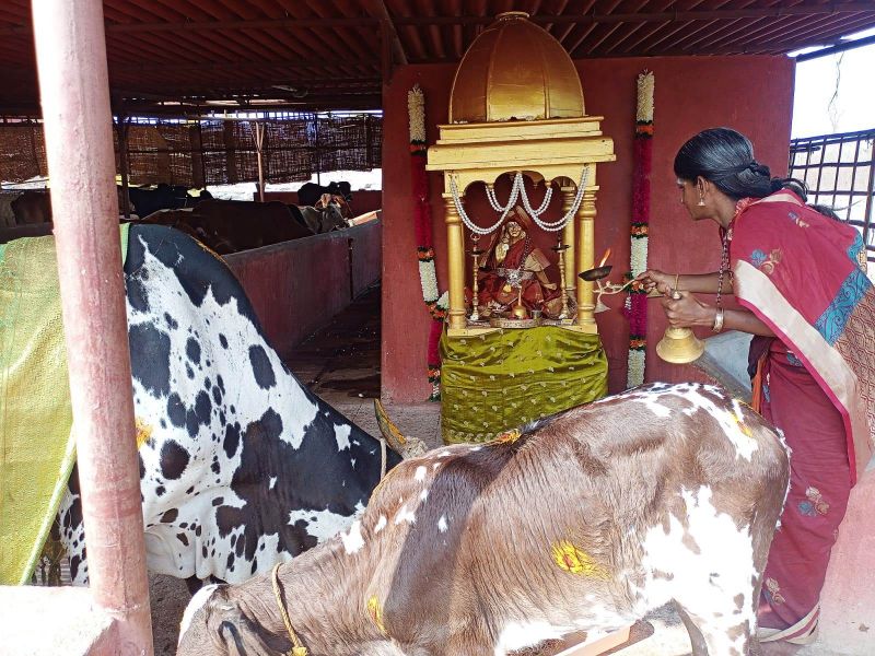 File:WhatsApp Image 2022-01-18 at 10.21.58 (1).jpeg