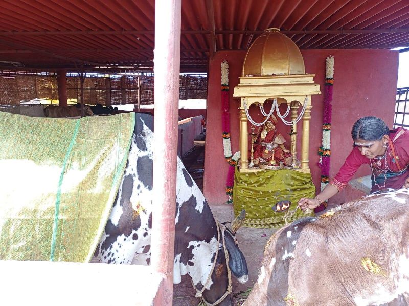 File:WhatsApp Image 2022-01-18 at 10.21.59 (1).jpeg