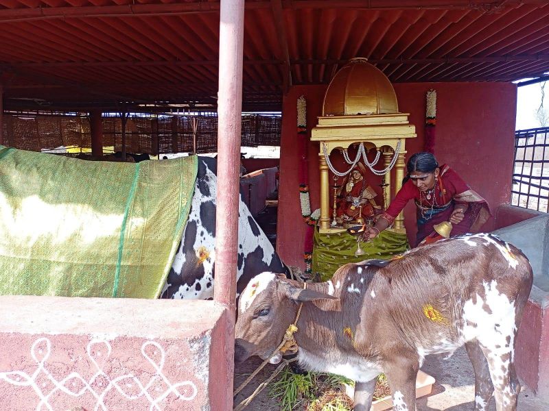 File:WhatsApp Image 2022-01-18 at 10.22.00.jpeg