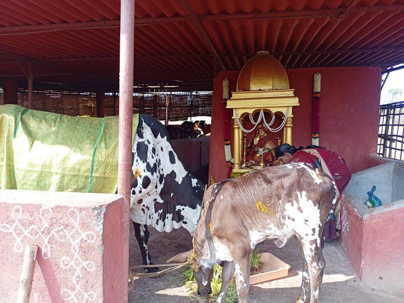 File:WhatsApp Image 2022-01-18 at 10.22.00 (1).jpeg