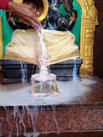 WhatsApp Image 2022-01-19 at 10.36.15.jpeg