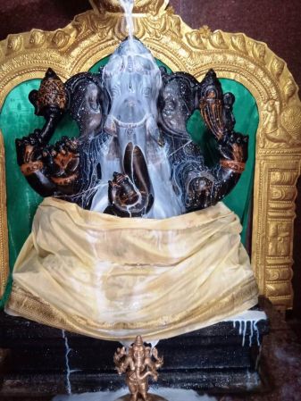 WhatsApp Image 2022-01-19 at 10.36.15 (1).jpeg