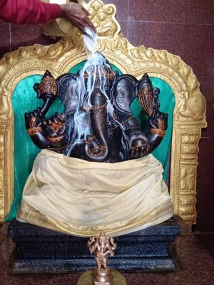 WhatsApp Image 2022-01-19 at 10.36.17.jpeg