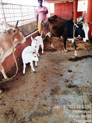 WhatsApp Image 2022-01-19 at 13.23.42.jpeg