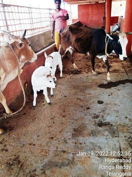 File:WhatsApp Image 2022-01-19 at 13.23.42.jpeg