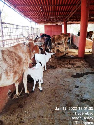 WhatsApp Image 2022-01-19 at 13.23.43.jpeg