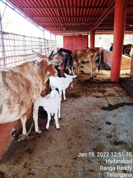 File:WhatsApp Image 2022-01-19 at 13.23.43.jpeg