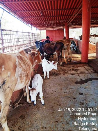 WhatsApp Image 2022-01-19 at 13.23.43 (1).jpeg