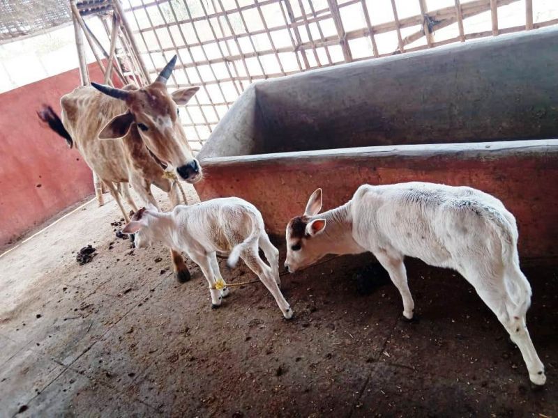 File:WhatsApp Image 2022-01-19 at 13.23.45.jpeg