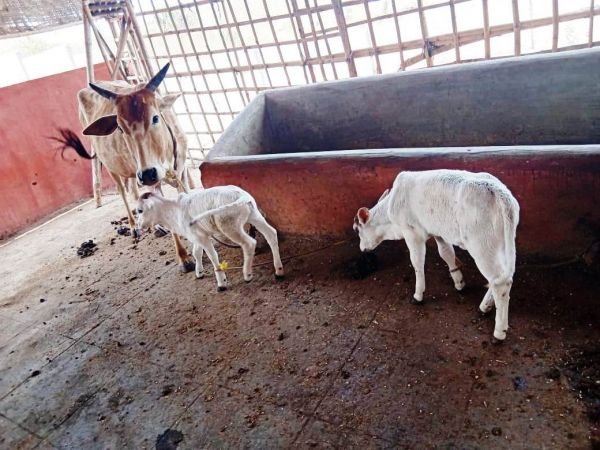 WhatsApp Image 2022-01-19 at 13.23.45 (1).jpeg