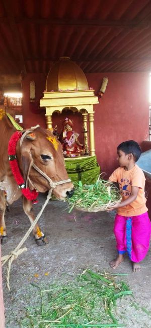 WhatsApp Image 2022-01-19 at 17.45.26.jpeg