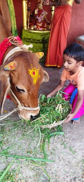 File:WhatsApp Image 2022-01-19 at 17.45.27.jpeg