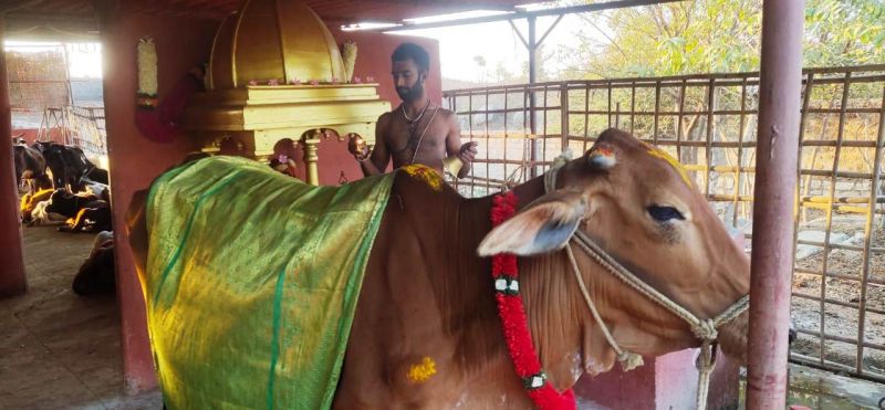 File:WhatsApp Image 2022-01-19 at 17.45.28.jpeg