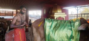 WhatsApp Image 2022-01-19 at 17.45.28 (1).jpeg