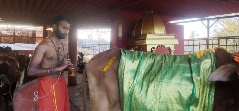 File:WhatsApp Image 2022-01-19 at 17.45.28 (1).jpeg