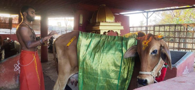 File:WhatsApp Image 2022-01-19 at 17.45.29.jpeg