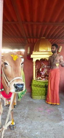 WhatsApp Image 2022-01-19 at 17.45.30.jpeg