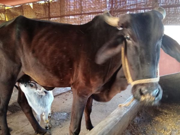 WhatsApp Image 2022-01-20 at 08.08.05.jpeg