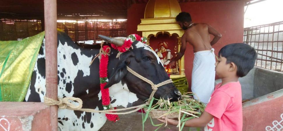 WhatsApp Image 2022-01-20 at 18.09.53 (1).jpeg